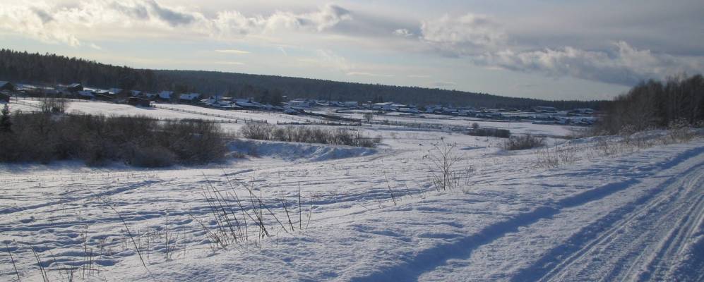 
            Фотография Щербаковы