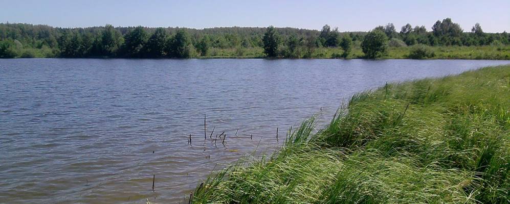 
            Фотография Малого Быкасово