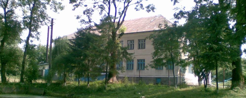 
            Фотография Олесина