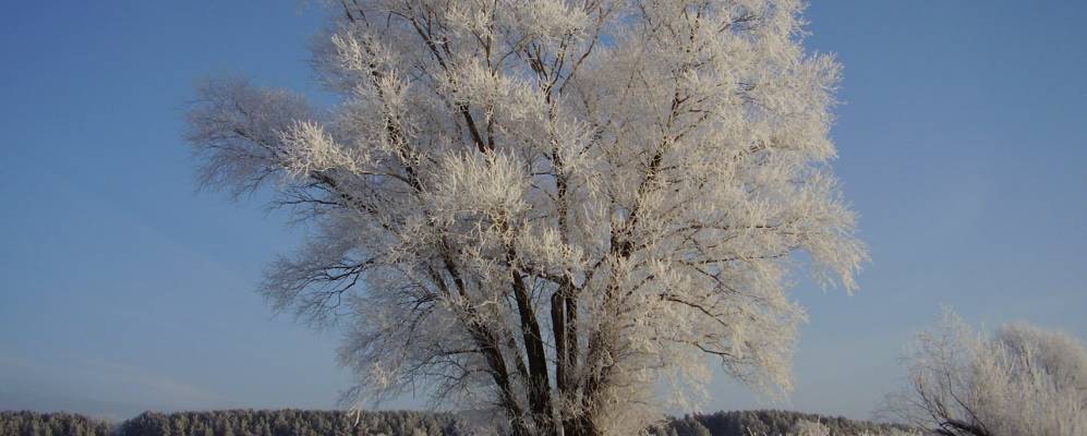 
            Фотография Митино