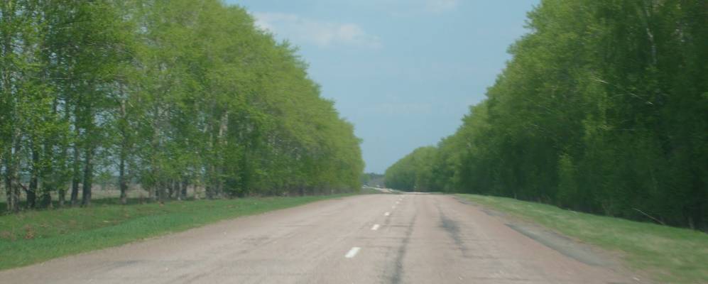 
            Фотография Старого