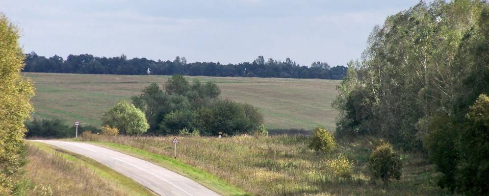 
            Фотография Сборного