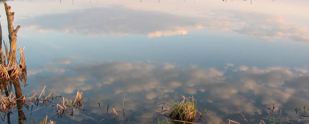 
            Фотография Закопа