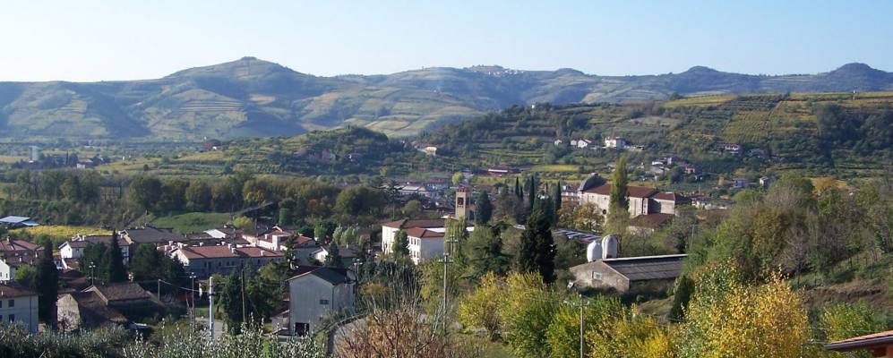 
            Фотография Ронкы