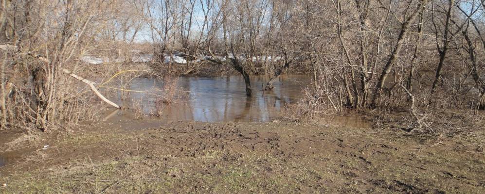 
            Фотография Бимерей