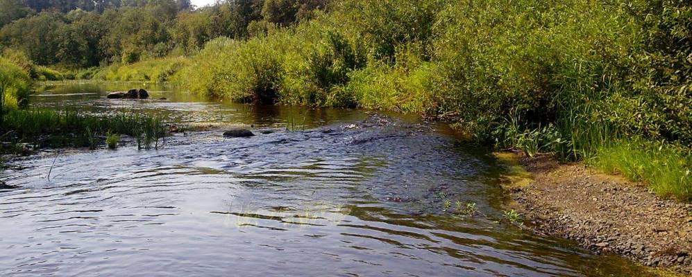 
            Фотография Максимихи