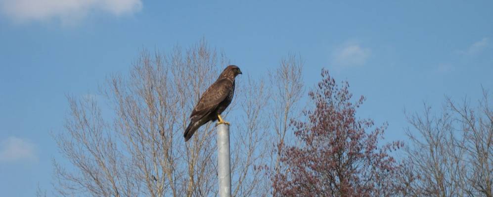 
            Фотография Марчиньаго