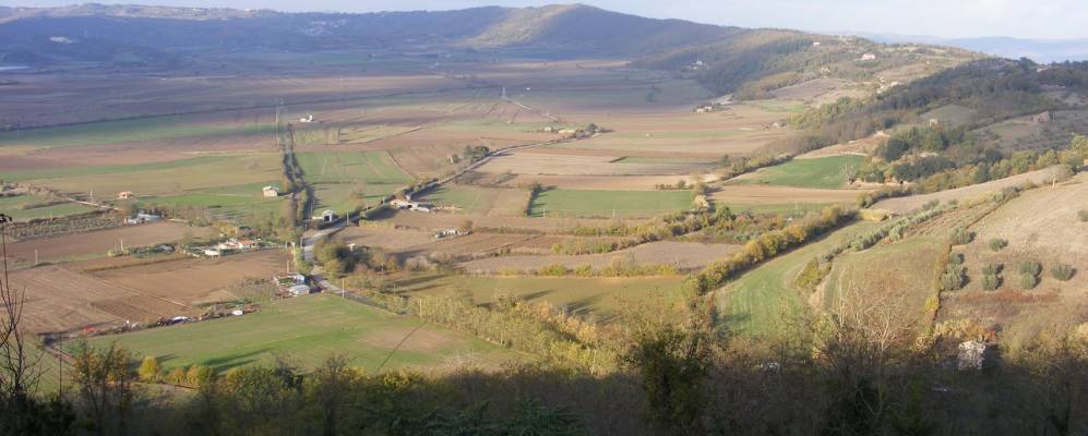 
            Фотография Латеры