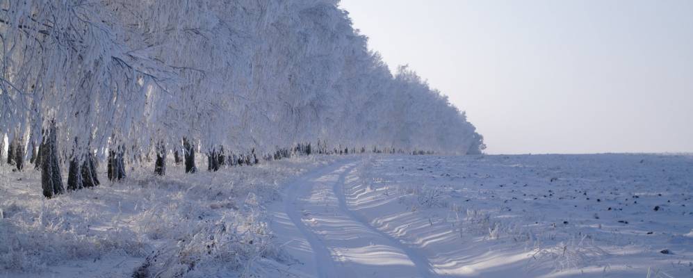 Фотография Колодезей