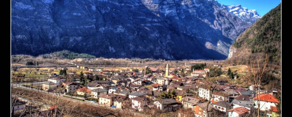 
            Фотография Гриньо