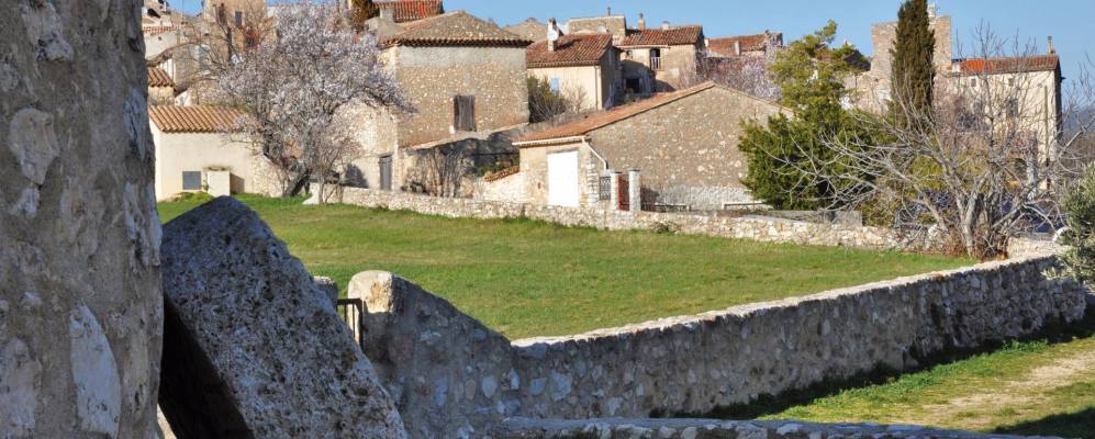 
            Фотография Регюс