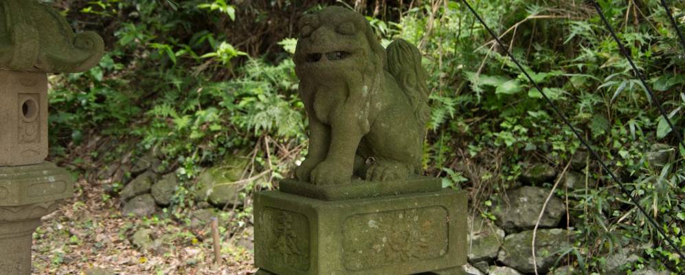 
            Фотография Mihonoseki