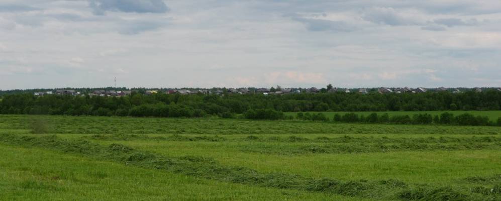 
            Фотография Якунихи