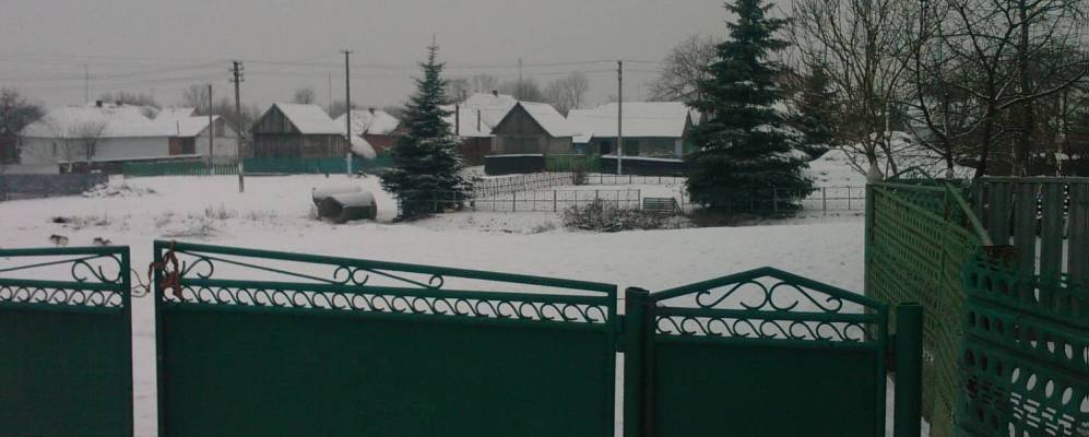 
            Фотография Чайковичей