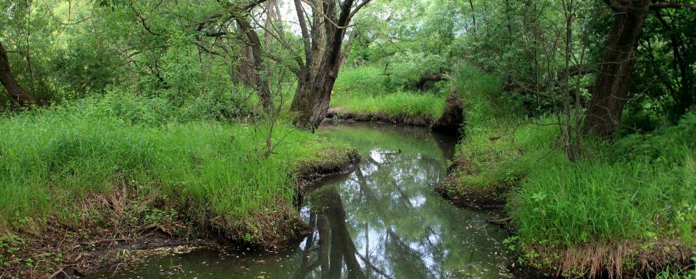 
            Фотография Пушкино