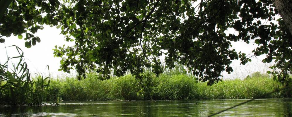 Фотография Букатово