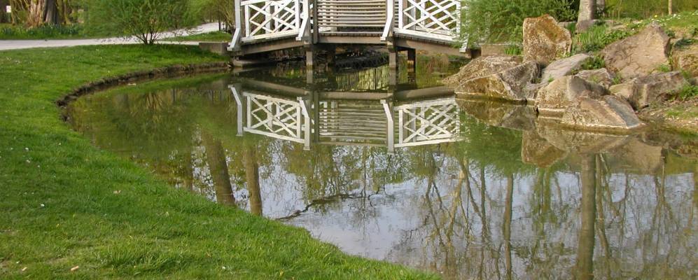 
            Фотография Бад Мергентхайма