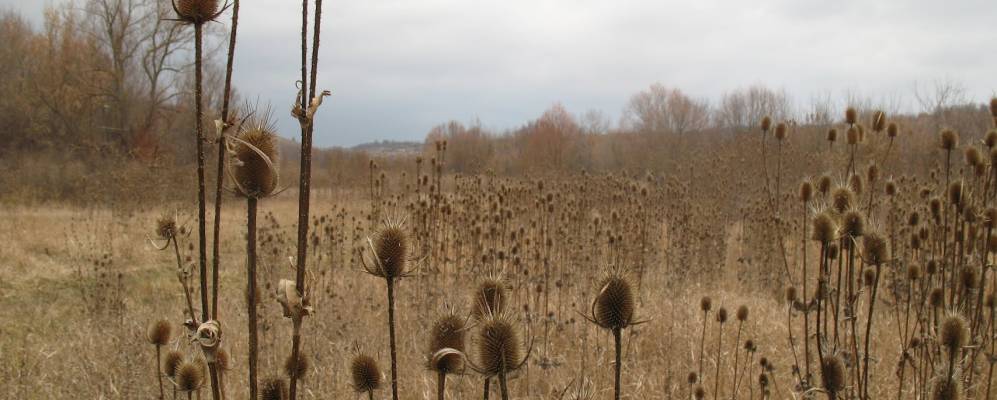 
            Фотография Верхней Слободки