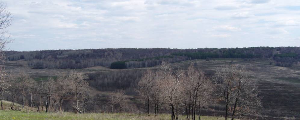 
            Фотография Валентиновки