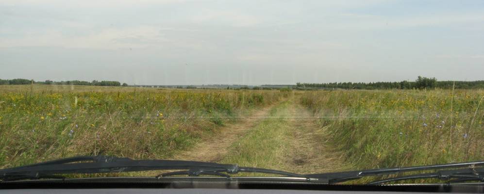 
            Фотография Поляков