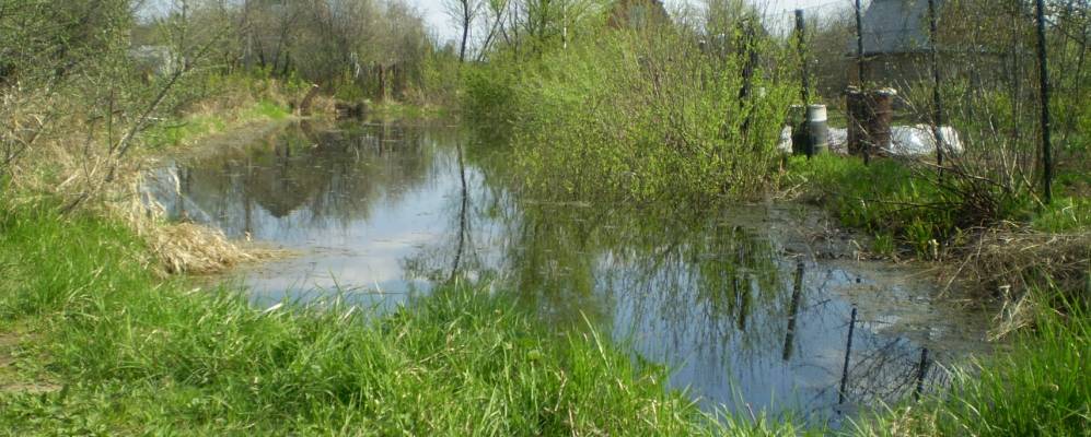 
            Фотография Заречного