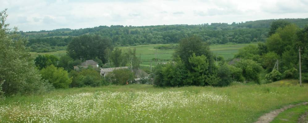 
            Фотография Довгалевки