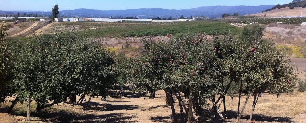 
            Фотография Интерлакена