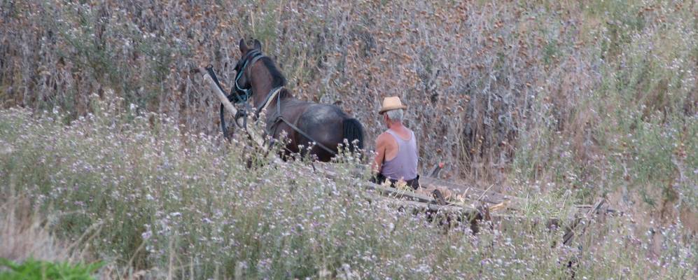 
            Фотография Листи