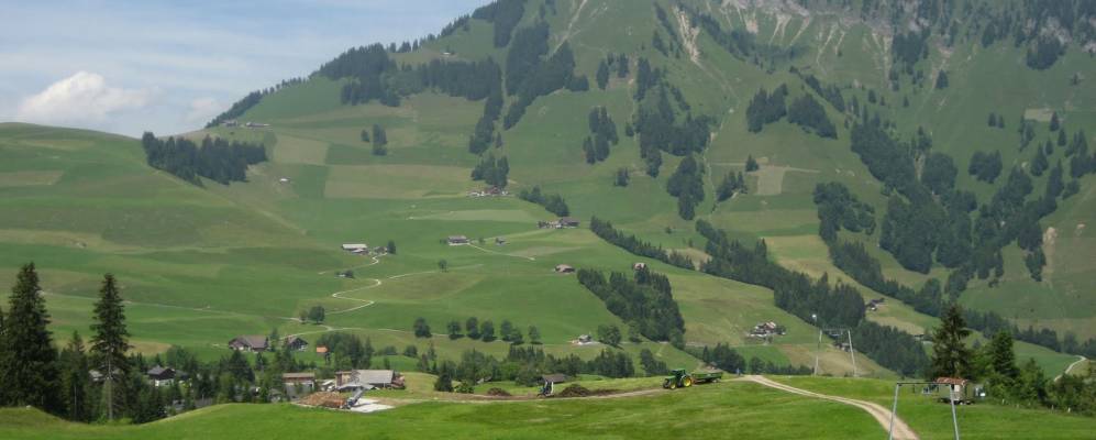 
            Фотография Далленвиль