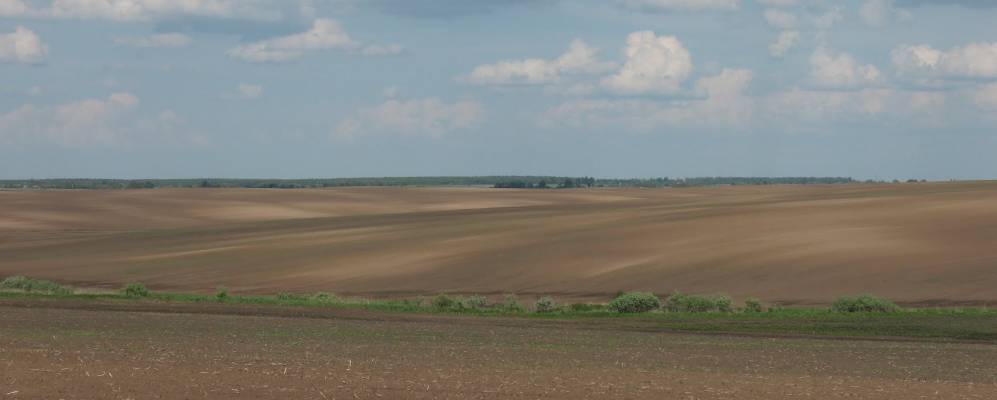 
            Фотография Хмелева