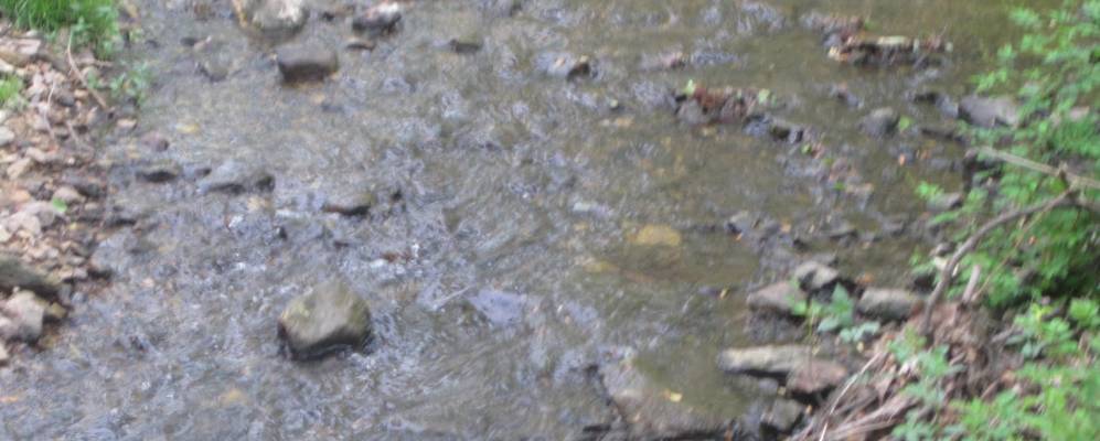 Фотография Колумбия