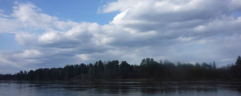 
            Фотография Бахаревщины