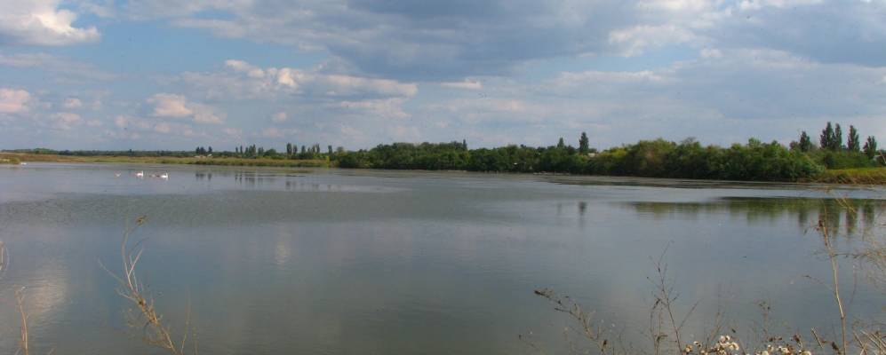 
            Фотография Новоалександровки