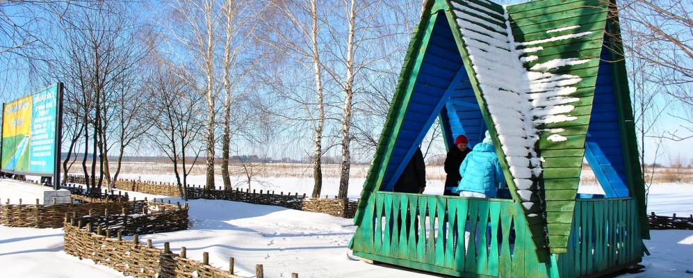 
            Фотография Лесового