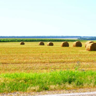 Александровский
