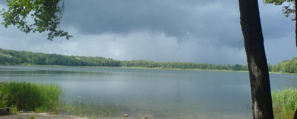 Фотография Болвы