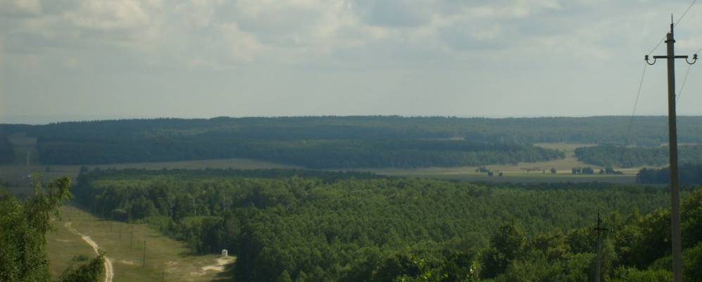 
            Фотография Кармалея