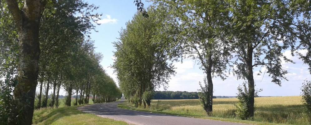 
            Фотография Плешевичей