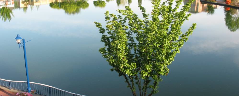 
            Фотография Туалатина