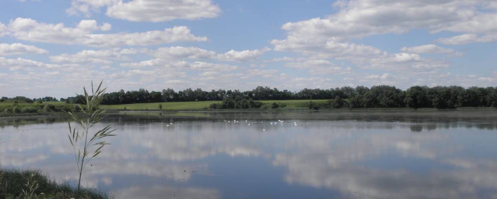 
            Фотография Запереводского
