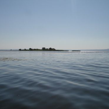 Березовая Лука