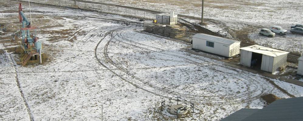 Фотография Бурнюша