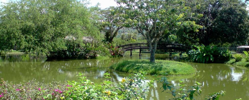 
            Фотография Бугалагранде