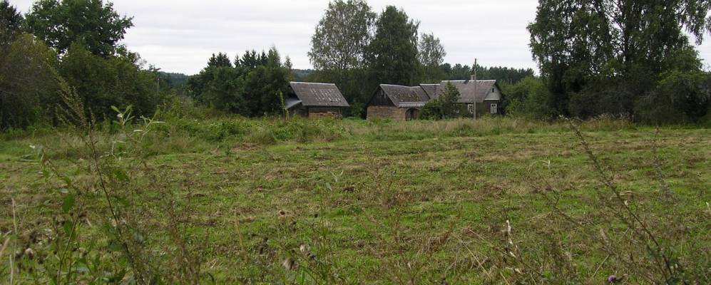 Фотография Кучино