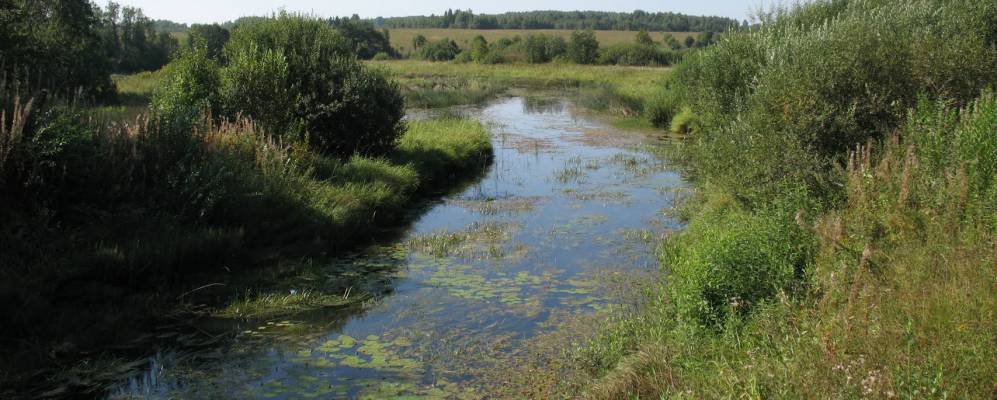 Фотография Подольново