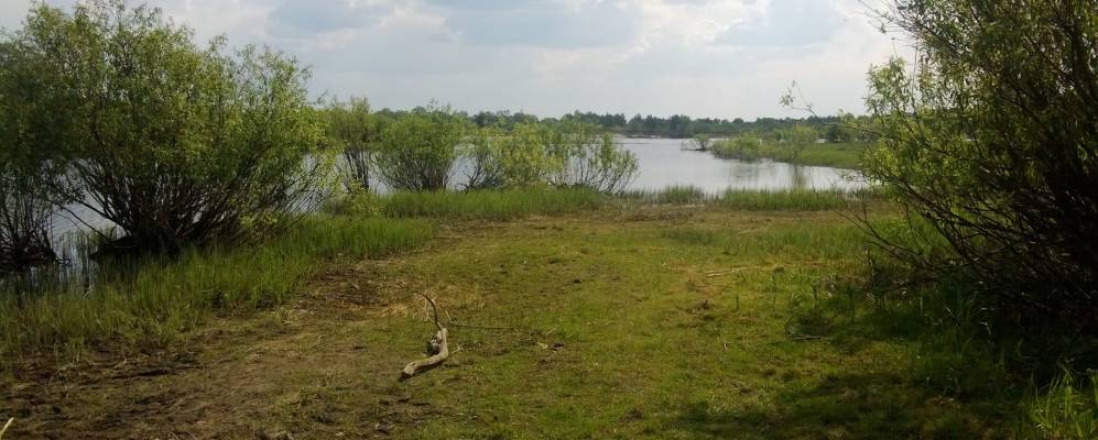 
            Фотография деревни Загорины