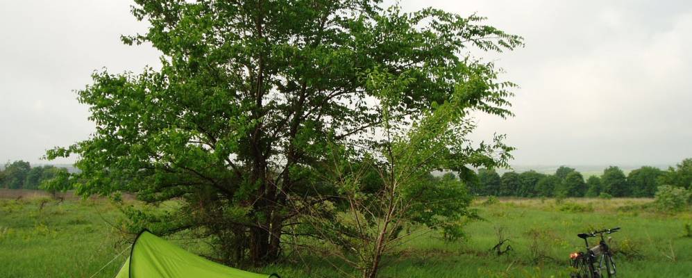 
            Фотография Степового