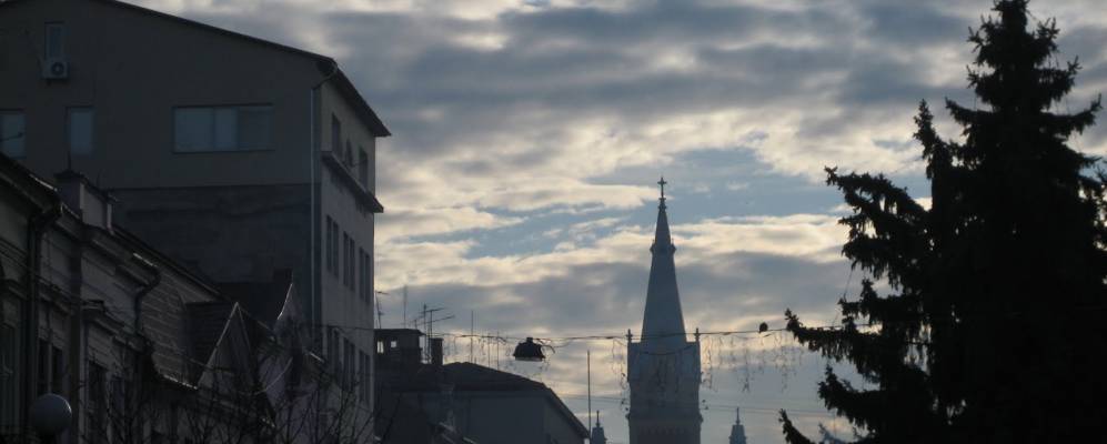 
            Фотография Дилка