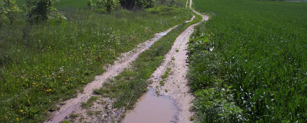 Фотография Подкосовья