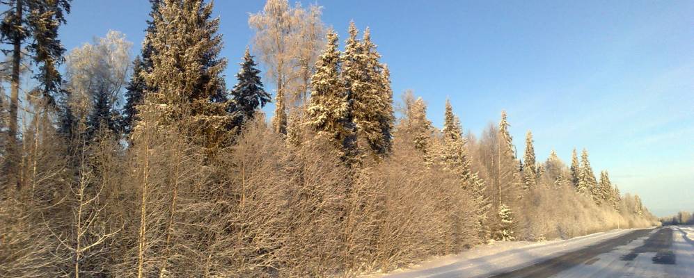 
            Фотография Дениславья